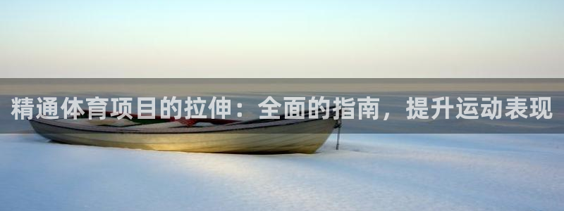 星欧娱乐属于什么档次的软件公司