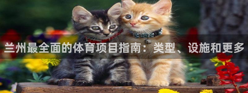 星欧娱乐法711.112扣费如何处理