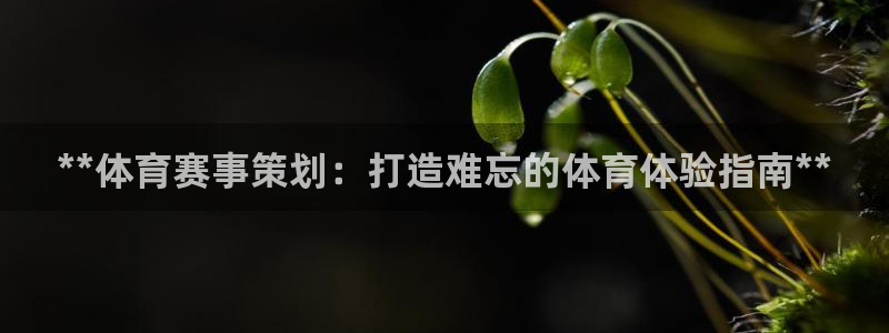 星奥娱乐集团是国企吗