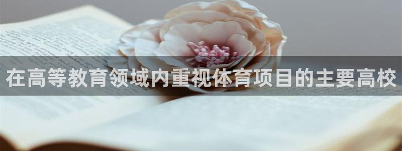 星欧娱乐雀V是什么平台
