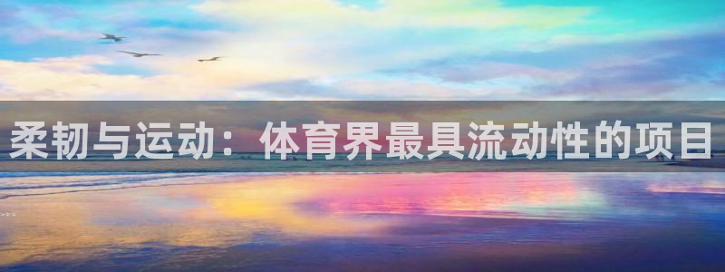星欧娱乐公司