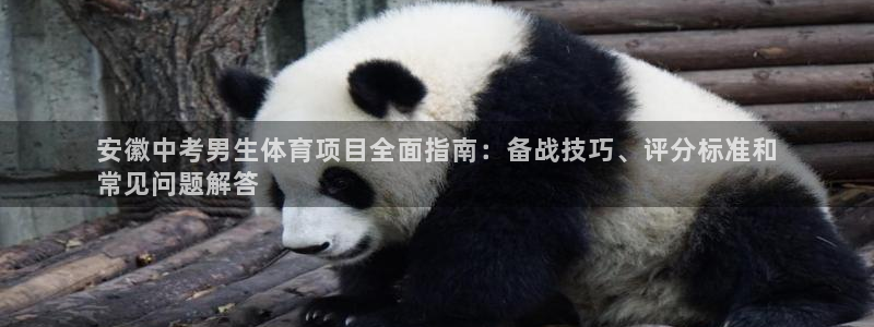 星欧娱乐最建议买的三个产品是什么