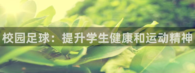 星欧娱乐公司电话号码查询