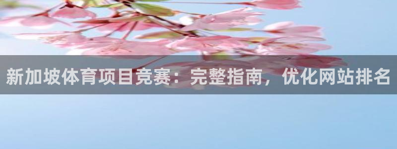 星欧娱乐联最新功能介绍