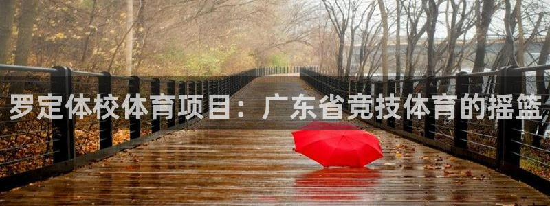 星欧娱乐联售后服务评价