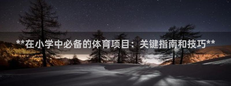 星欧娱乐扣款流程详解图高清
