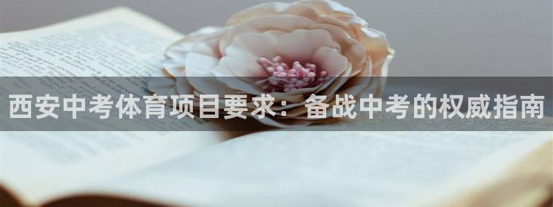 星欧娱乐公司创始人背景故事介绍