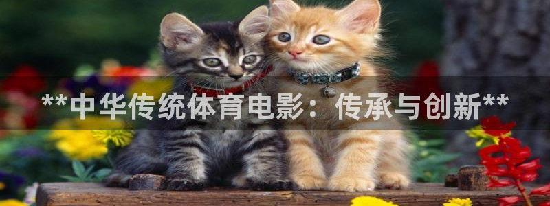 星澳娱乐公司怎么样