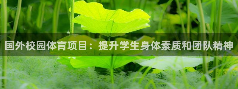 星奥娱乐集团股份有限公司