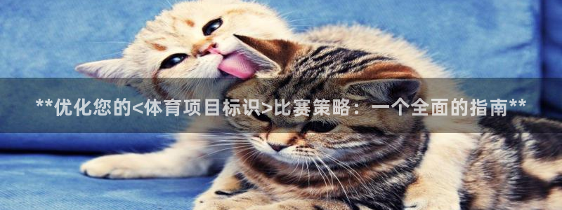 星欧娱乐扣款时间查询方法怎么查不到