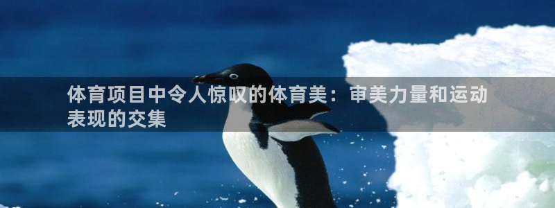 星欧娱乐