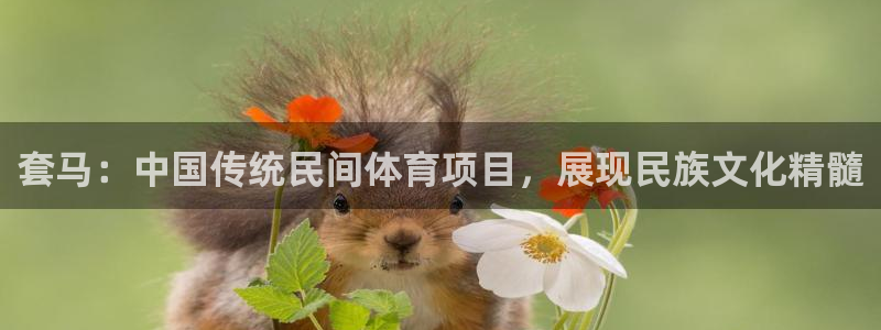 星欧娱乐扣款6II2是什么情况