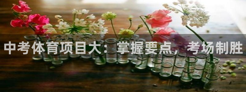 星欧娱乐扣费后解决方法