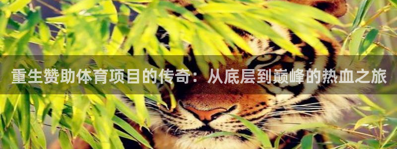 永韬星娱乐