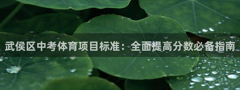 星欧娱乐平台地7O777