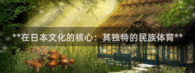 星奥娱乐集团股份有限公司官网