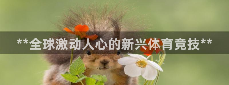 星欧娱乐扣款流程详解视频下载