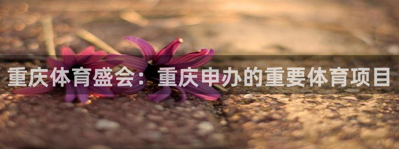 星欧娱乐属于什么档次