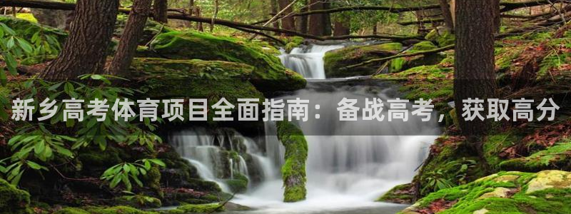 星欧娱乐用户名和密码