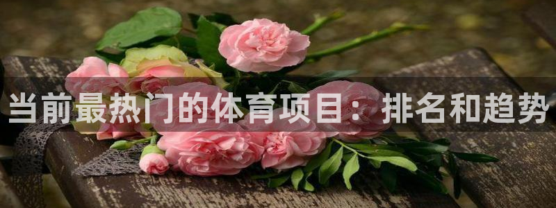 星欧娱乐公司怎么样