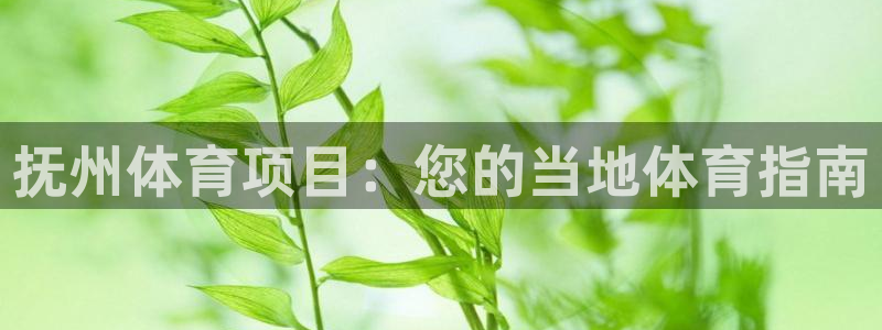 星欧娱乐官网下载安装