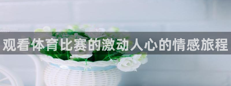 星欧娱乐官方客服联系方式