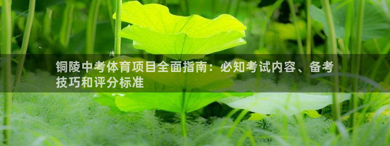 澳星国际娱乐集团