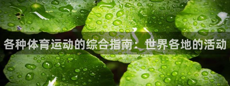 星娱乐文化传媒有限公司