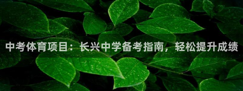星奥娱乐集团