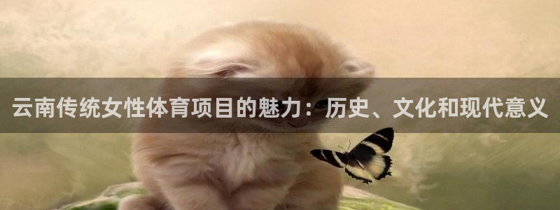 星乐娱乐