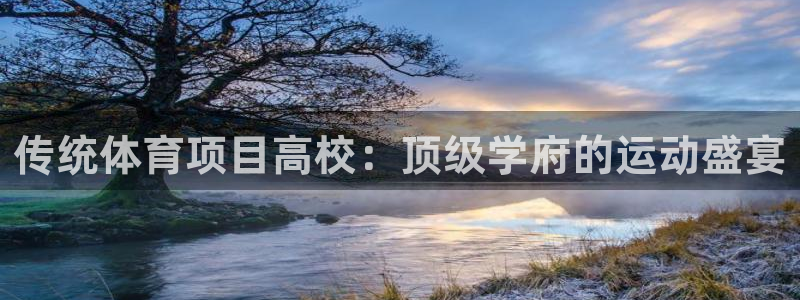 星奥娱乐集团官网