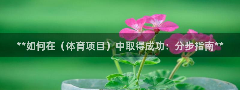 星欧娱乐官网首页下载