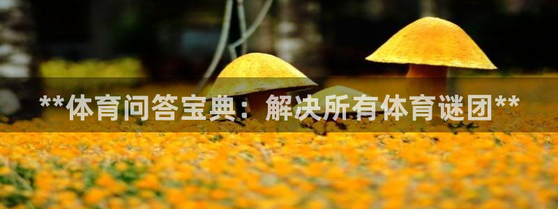 星欧娱乐银行卡怎么登录
