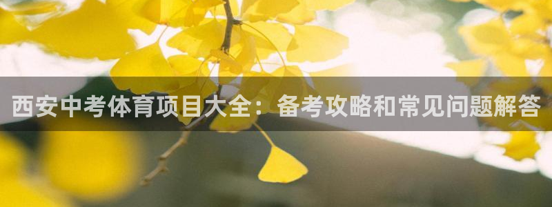 星欧娱乐最建议买的三个产品有哪些
