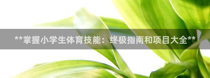 星欧娱乐官方客服联系方式是什么