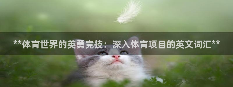 星欧娱乐还能玩吗