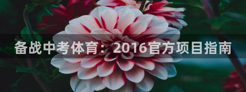 星欧娱乐最建议买的三个产品