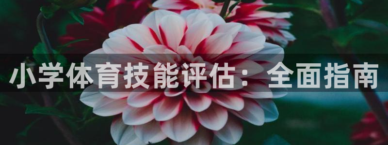 星欧娱乐彩票软件下载
