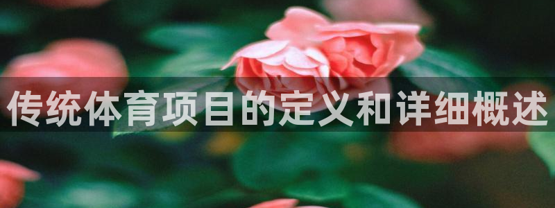星欧娱乐和嫲薇他的区别是什么