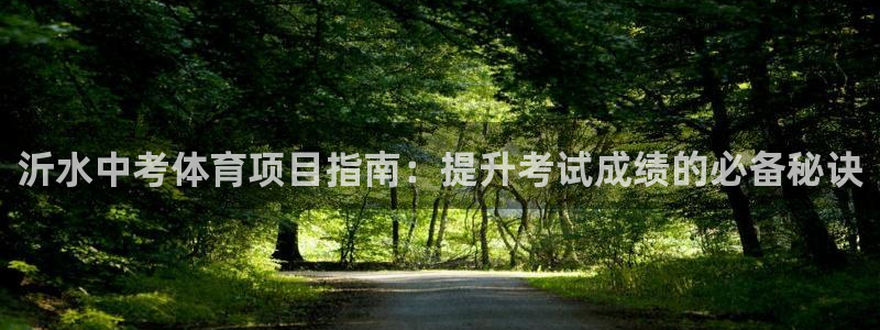 星欧娱乐的创始人背景故事介绍