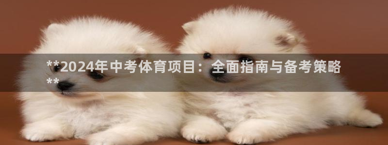 星欧娱乐测速软件下载