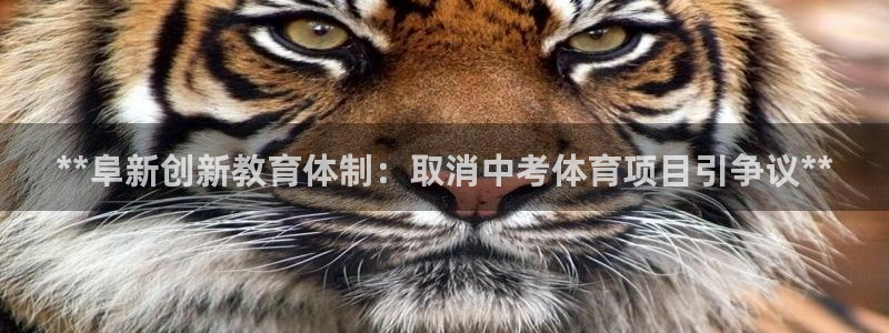 星欧娱乐联游戏评测