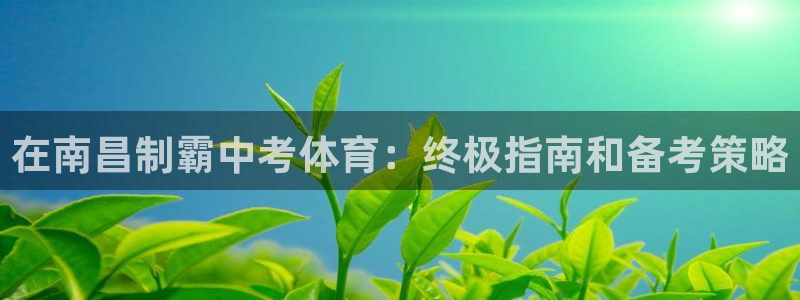 星欧娱乐的官方版本更新内容