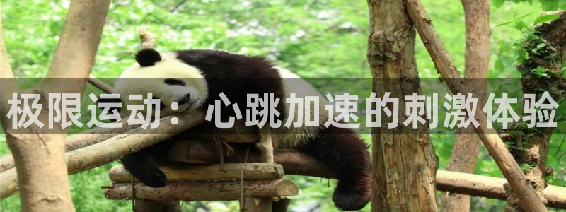 星欧娱乐平台道7O777