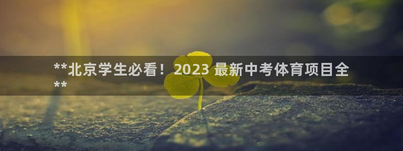 新星娱乐怎么开挂