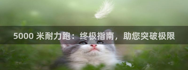 星欧娱乐公司电话号码查询