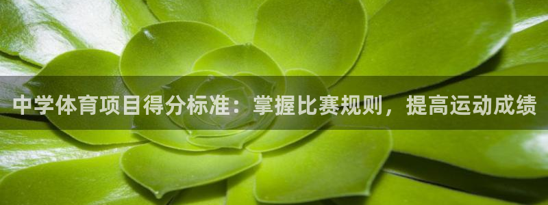 星欧娱乐伐官网注册
