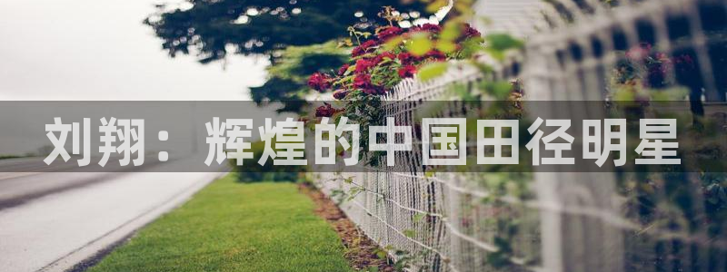 江苏星奥娱乐有限公司