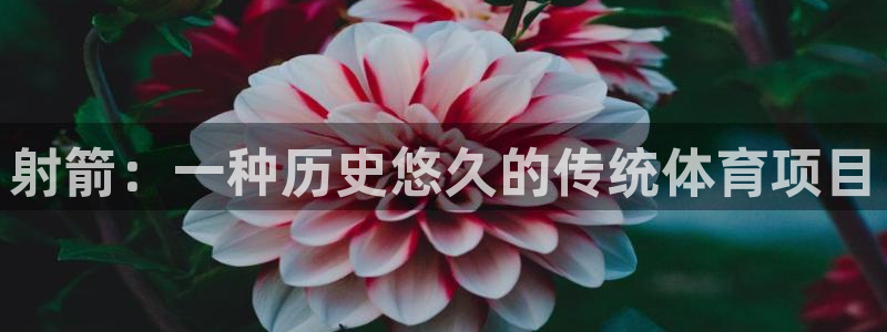 星娱乐online创作的原声