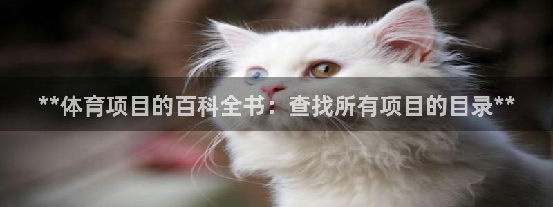 星奥娱乐待遇怎么样